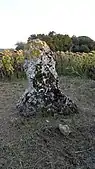 Menhir Grande Pierre