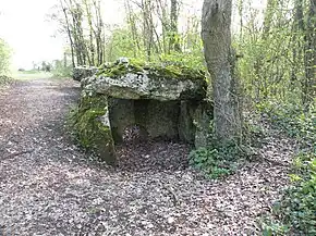Pierre-aux-Fées Blick in die Vorkammer