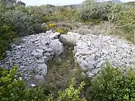 Dolmen de la Limite