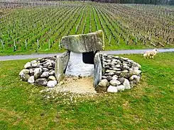 Der rekonstruierte und gegenüber der ursprünglichen Position leicht verschobene  Dolmen von Praz Berthoud