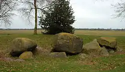 Das Großsteingrab D5 bei Zeijen