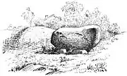 Dolmen vom Fröböke-Typ Domaresten