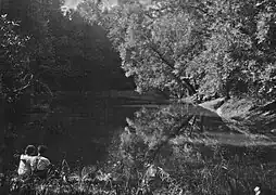 Insel Wörth. Inneres 1931