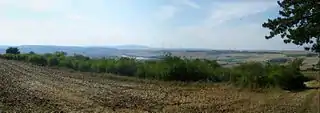 Blick vom Grünstadter Berg auf das Eisenberger Becken mit Eisenberg (links) und den Donnersberg