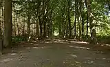 Doorn, die Dartheide