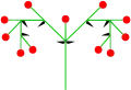 Doppelschraubel