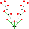 Doppelwickel