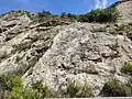 Fossilienfundstelle