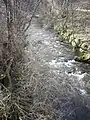 Dullan Water, der Hauptzufluss des Fiddich