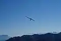 Drachenfliegen am Speikboden