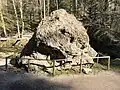 Talabwärts