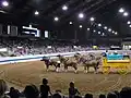 Zugpferde in der Halle bei der Indiana State Fair 2007