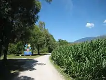 Radweg im Flusstal, Hochgebirge (Drauradweg bei Radlach, Österreich)