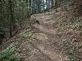 Wanderweg über den Rappentobelbach (2024)