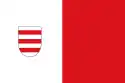 Flagge des Ortes Driewegen