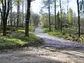 Aufstieg in Richtung zum Gipfel, am Echo beginnend
