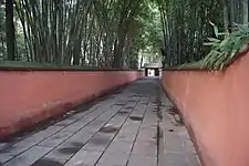 Fußweg am Bambushain im Park