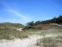 Dünenlandschaft