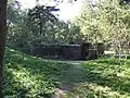 Bunker im Dünenwald