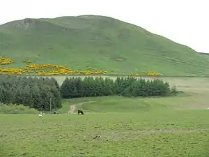 Dunsyre Hill