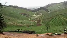 Weingärten und Obstplantagen gehen in der Ortenau am Rand des Schwarzwaldes ineinander über.