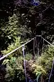 Dusky Track, Neuseeland