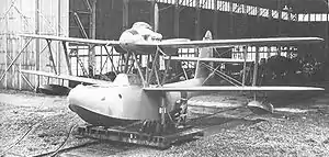 Aichi E11A1