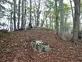 Höchster Punkt des Berges mit Gedenkstein für Großherzog Carl Alexander (2014)