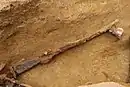 Gewehr