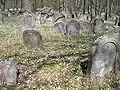 Historischer Jüdischer Friedhof vor der Stadt