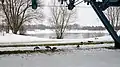 Echinger See im Winter