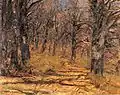 Eichenwald im Vorfrühling, 1894