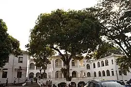 Das Curiplaya-Haus in Florencia