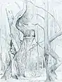 Edmund Kanoldt: Baumstudie (Hasbruch)