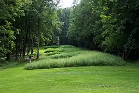 Marching Bear Mounds