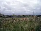 Dünen am Südstrand