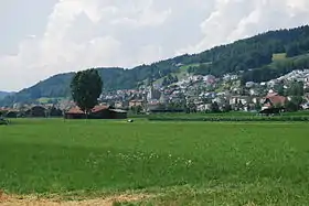 Egolzwil vom Wauwilermoos aus gesehen