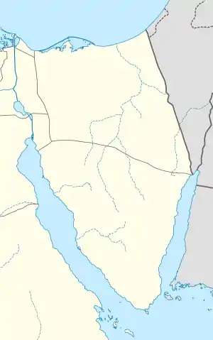 Sinai-Aufstand (Sinai)