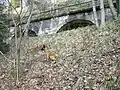 Ehemaliger Kleinbahnstreckenteil Naundorf–Colmnitz im Tharandter Wald