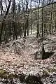 Ehemaliger Schießstand Im Lösnicher Wald mit Blick vom Zielwall in Richtung Forstweg