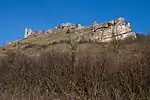 Dolomitisierte Schwammriff-Massenkalkfazies des Ehrenbürg-Plateaus bei Forchheim/Oberfranken