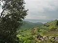 Golanhöhen