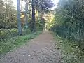 Haupteingang zum Wald (2012)