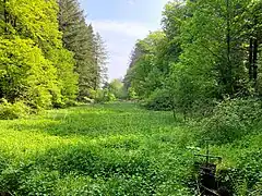 Einlaufbereich in die Panzertal-Vorsperre