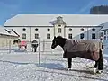 Winterdecken