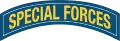 Special Forces Qualification Tab (dt. „Sonder­ein­satz­kräfte­quali­fi­kations-Band“)