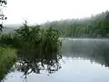 Alter Weiher