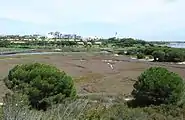Blick vom Naturschutzgebiet aus westlicher Richtung auf den Ort