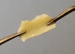 Elastin