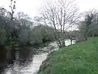 Der Fluss Ellé